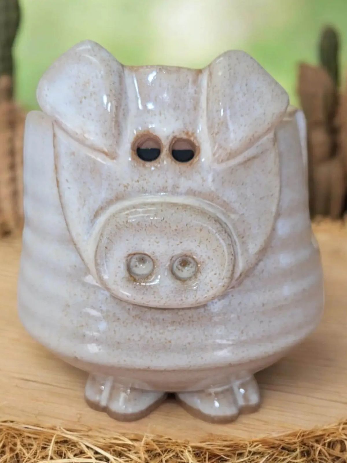 Pig Sponge Holder