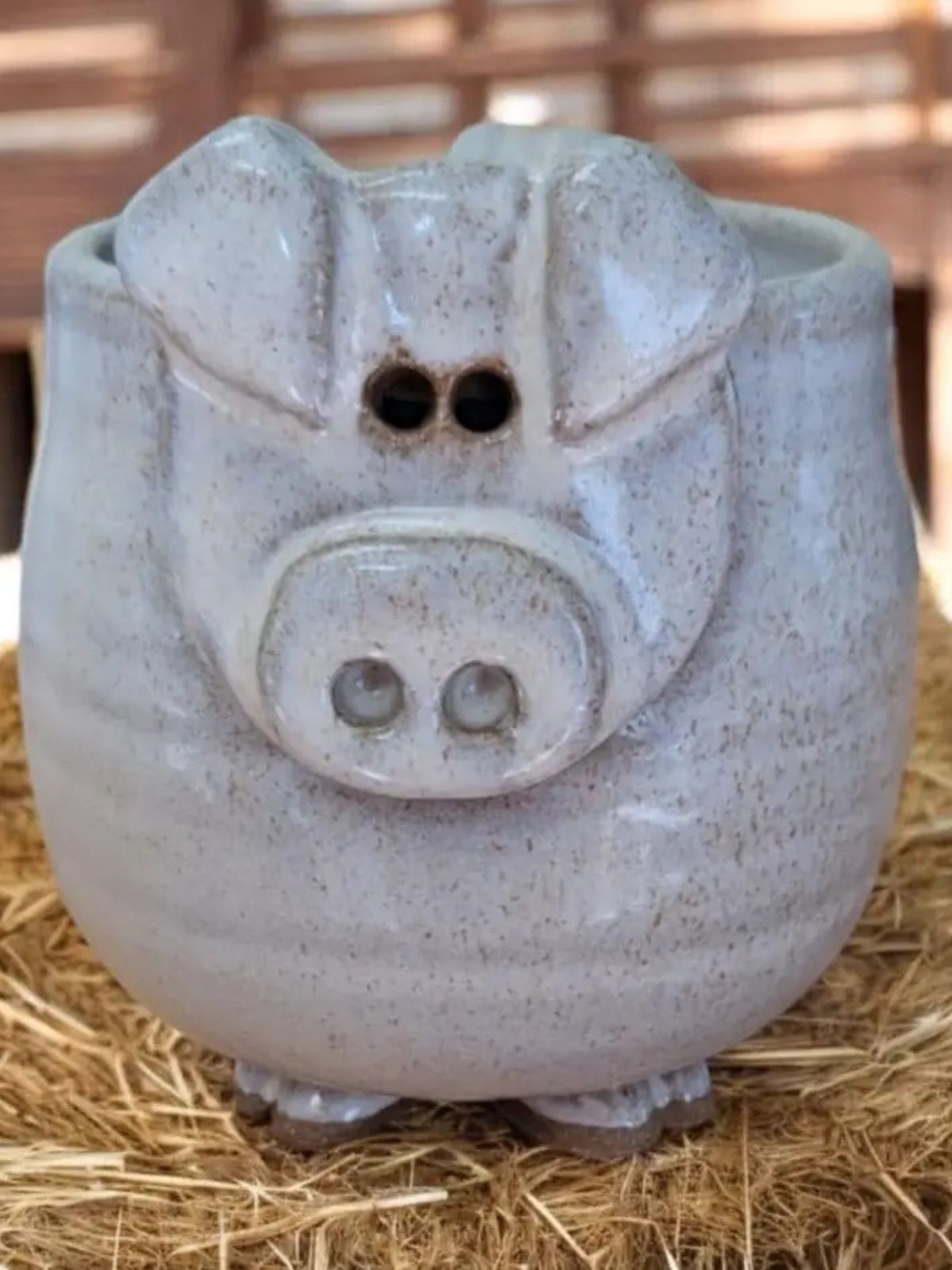 Pig Mug