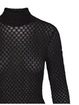 Mesh Lace Turtleneck