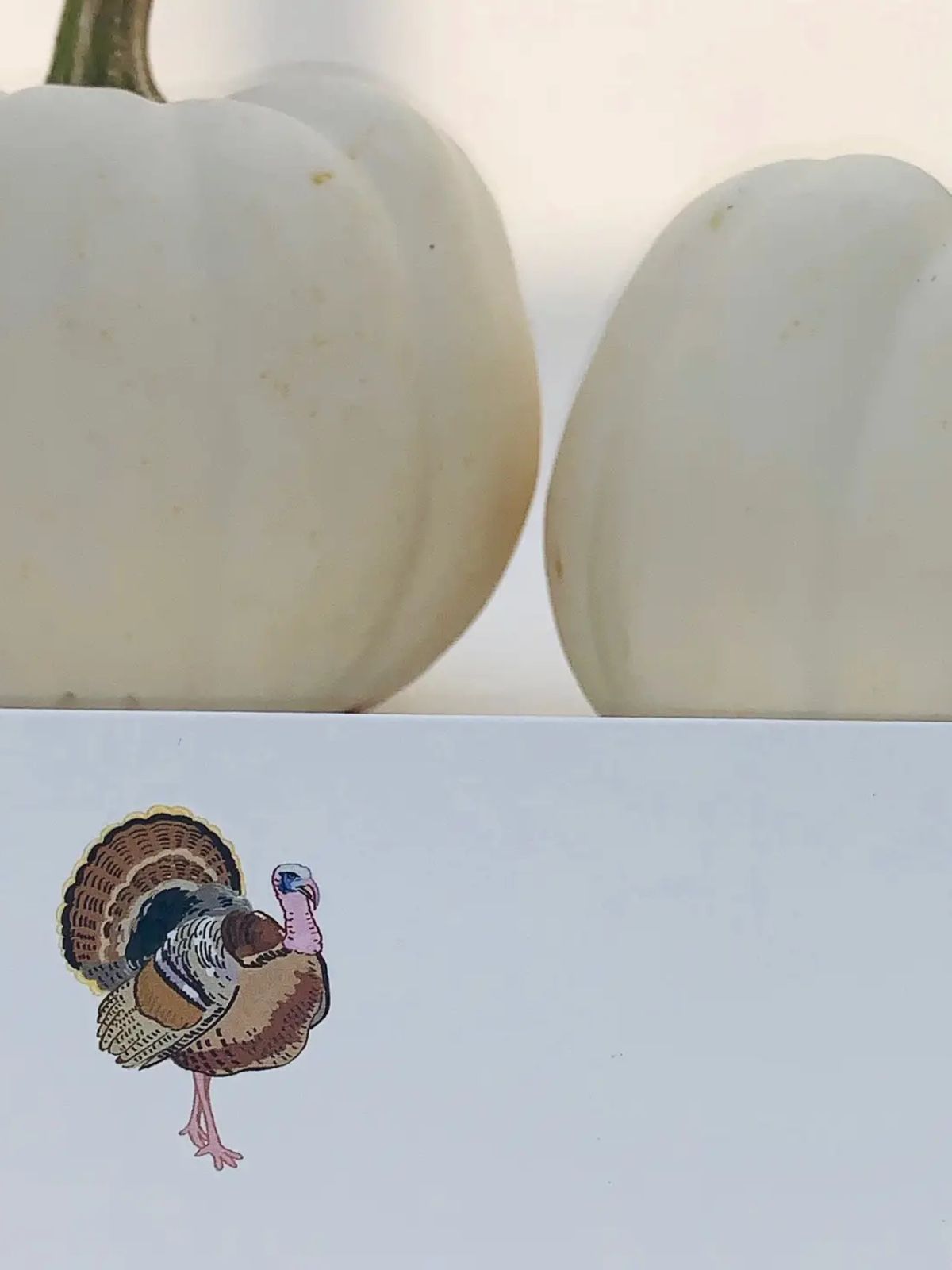 Place Cards - Turkey